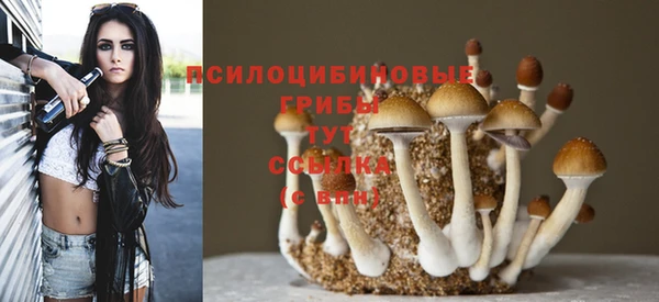 мдма Горнозаводск