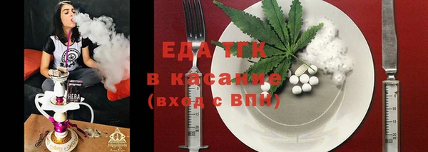 spice Гусев