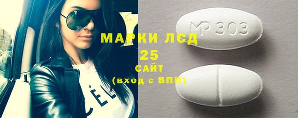индика Гусиноозёрск