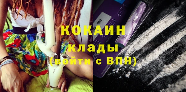 прущие крисы Дмитриев