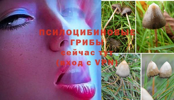 mdma Горняк