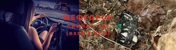 индика Гусиноозёрск