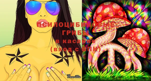 прущие грибы Вязники