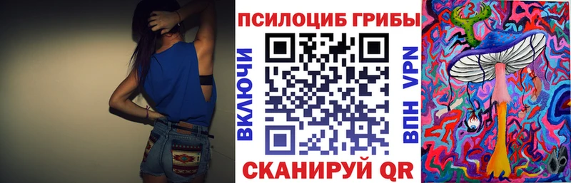 наркота  Дубовка  Галлюциногенные грибы Cubensis 