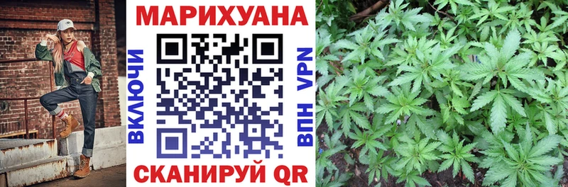 что такое наркотик  Дубовка  Шишки марихуана OG Kush 